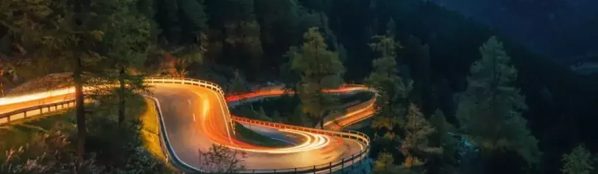 carretera iluminada en una zona de árboles
