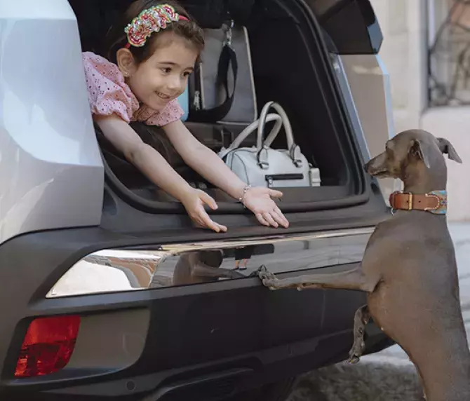 niña subiendo perro al coche